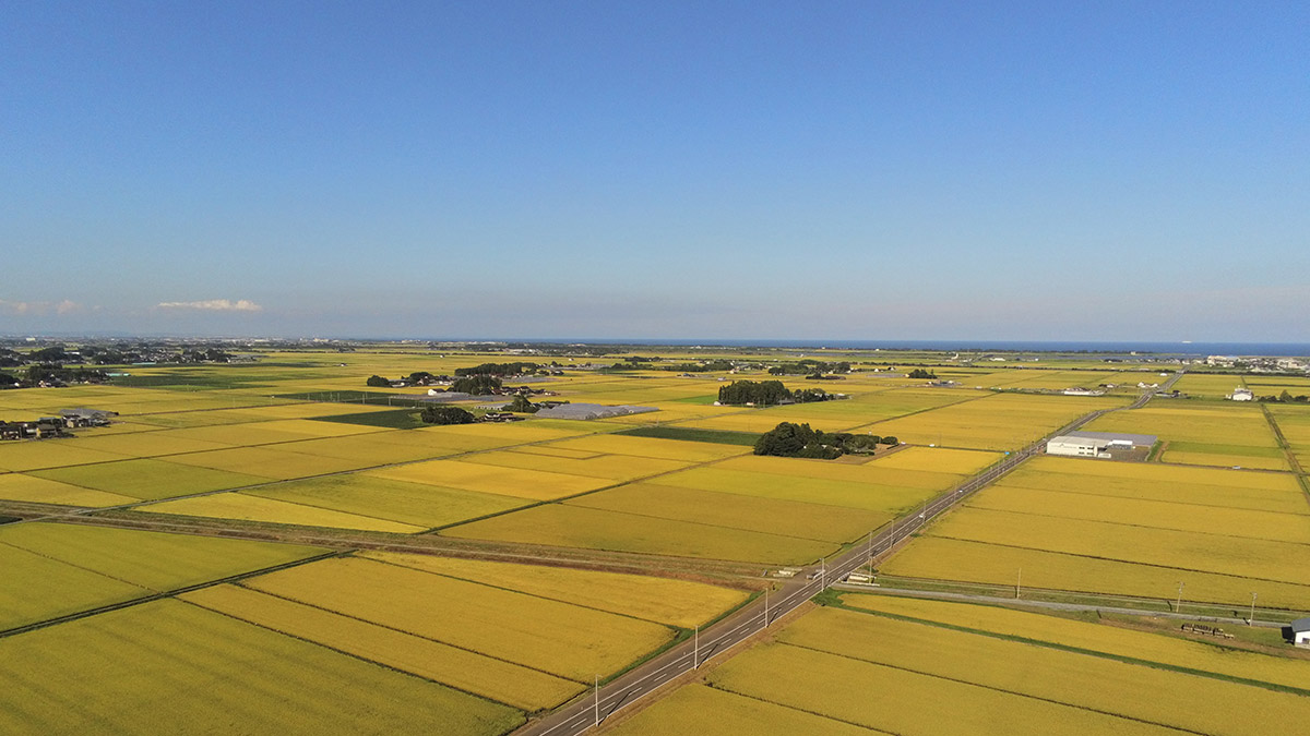 田園風景